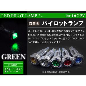 LEDパイロットランプ 12V シルバー×グリーン 埋め込み LED球 LEDバルブ イルミ マルチバルブ 小型LED電球 キャンピングカー 等｜zumitaro