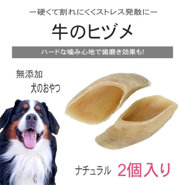 牛のヒヅメ ナチュラル【２個】袋入り【宅配便発送】天然素材 個包装無し ひづめ 犬用 蹄