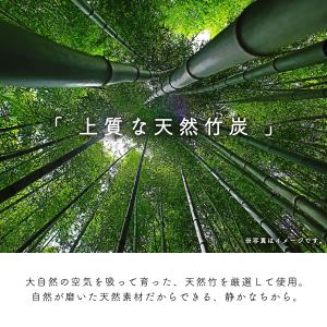 《ニオイ成分除去試験済》靴 消臭 脱臭 炭 竹...の詳細画像3
