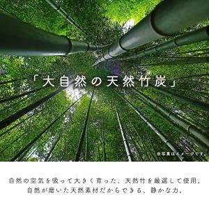 《ニオイ成分除去検査済》靴 消臭 脱臭 竹炭 ...の詳細画像3