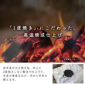 《ニオイ成分除去検査済》靴 消臭 脱臭 竹炭 ...の詳細画像4