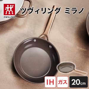 HENCKELS（ヘンケルス） HIスタイルベーシック ステンレス フライパン