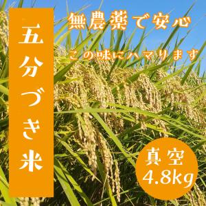 tuchinokoe - Yahoo!ショッピング