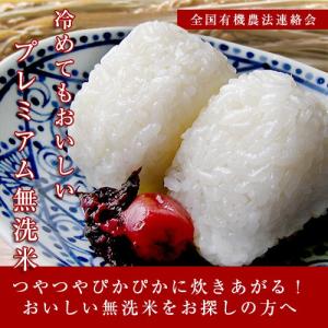 クール便対応 信州産 松茸 つぼみ 9/28午後収穫 348ｇ 8本入 つぼみ 長野県産 信州 松茸427g （長野県産 松茸 160g9月7日採り）