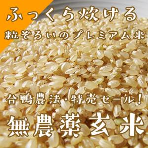 【特売】合鴨・無農薬玄米「あきたこまち」5kg×2袋　令和元年産　東北〜関東までの送料込み