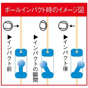 キモニー kimony テニス 振動止め クエ...の詳細画像4