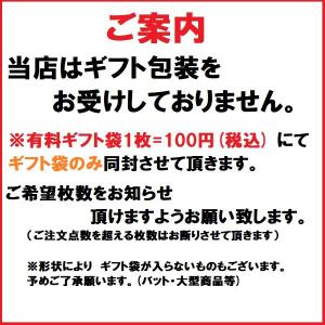 バボラ BabolaT メンズ テニス ウエア...の詳細画像5