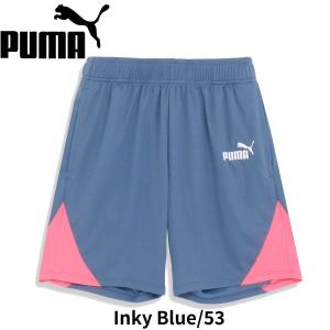 【全品P3倍+最大600円OFFクーポン】プーマ PUMA メンズ サッカーウエアー INDIVIDUAL レトロ トレーニング ショーツ 658828 53｜zyuen