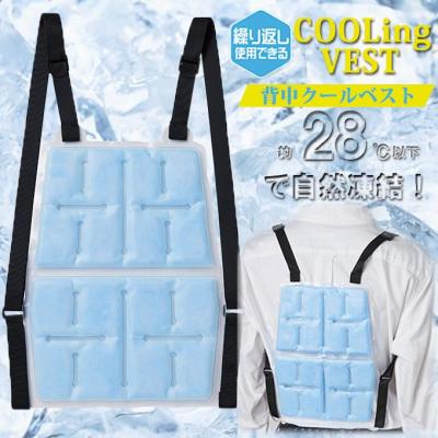 アイスリュック 保冷剤 リュック 背中用 冷却 冷たい 熱中症 暑さ対策 保冷 夏 冷却ベスト ひんやり 作業着 冷感 ベスト 作業服 背あてパッド 背当てパット 氷