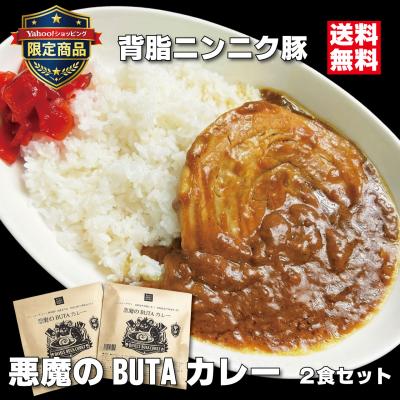 【Yahoo限定商品】二郎インスパイア 悪魔のBUTAカレー 2食セット 中辛 背脂ニンニク  巨大チャーシュー こってり レトルトカレー 常温 会津ブランド館