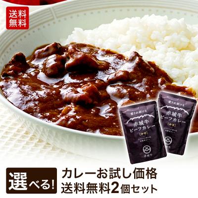 カレー 赤城牛 ビーフカレー 選べる2個 セット 常温 国産牛 牛肉 レトルトカレー