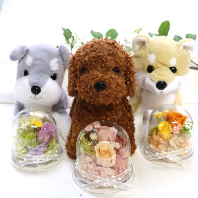 誕生日プレゼント 女性 ギフト 花  ギフト プリザーブドフラワー ドーム  犬 母 結婚祝い 退職 2026 結婚式 電報 祝電 結婚祝い 犬のぬいぐるみとドームアレンジ