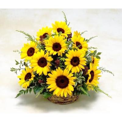 父の日 ギフト ひまわり 誕生日 翌日配達 アレンジ ギフト ★夏はひまわり★ 季節のお花でデザイナーオーダー オレンジ イエロー 贈り物 爆買