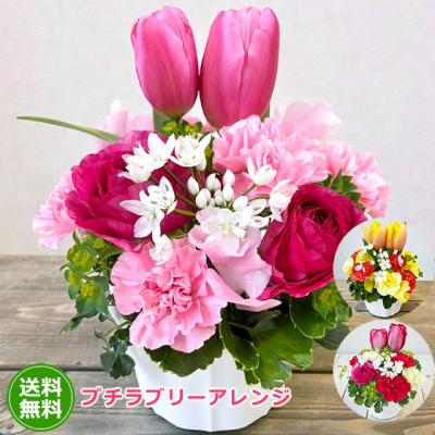 花 フラワーアレンジメント プチラブリー アレンジ 送料無料 翌日配送 花 生花 プレゼント ギフト 贈り物 誕生日 お見舞い お祝い フラワーギフト 爆買