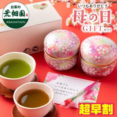 ギフト プレゼント お茶 緑茶 ほうじ茶 茶葉 深蒸し茶 お茶の葉 静岡茶 ビードロ缶2本箱入 ポイント利用 ポイント消化 爆買 ■30504