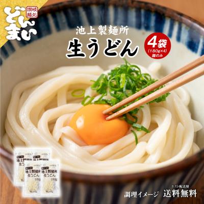 送料無料 どんまい 池上製麺所 讃岐生うどん 180g×4袋 麺のみ 讃岐 得トクセール 食品 ポイント利用 お試し商品 サンプル 食品 うどん 取り寄せ ご当地グルメ