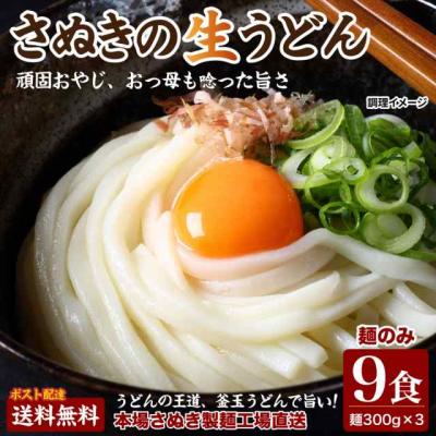 どんまい 讃岐うどん 生うどん 9食 麺のみ(300g×3) 送料無料 讃岐 普通麺 極太麺 生うどん 生めん 生麺 香川 ポイント消化 食品