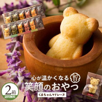 お菓子 焼き菓子 ケーキ マドレーヌ お菓子 ギフト お取り寄せ スイーツ くまちゃんマドレーヌ 透明ギフト 12個 6個入り×2 送料無料 ポイント利用