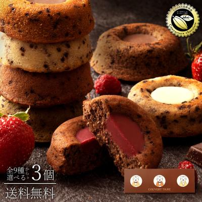 ギフト スイーツ クーベルティグレ お試し 9種から選べる3個 ティグレ 焼き菓子  チョコ 送料無料 クーベルチュール ポイント利用
