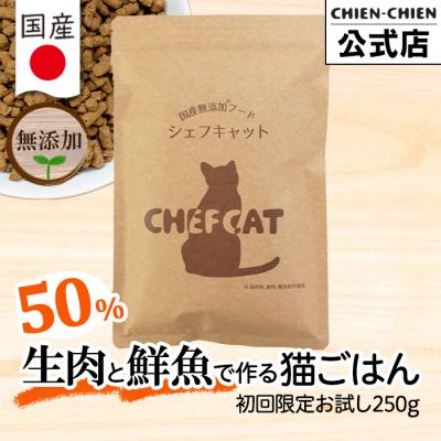 猫 餌 キャットフード お試し 無添加 子猫 成猫 シニア ドライフード カリカリ シェフキャット CHEFCAT 250g