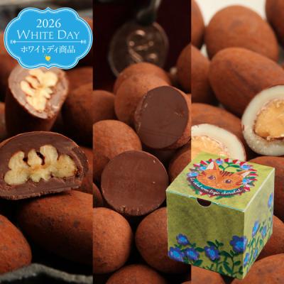 2026 バレンタイン NECO BOX ココアアソート(105g/箱) サロンドロワイヤル チョコレート ピーカンナッツ アーモンド プチギフト 詰め合わせ 個包装 保護猫