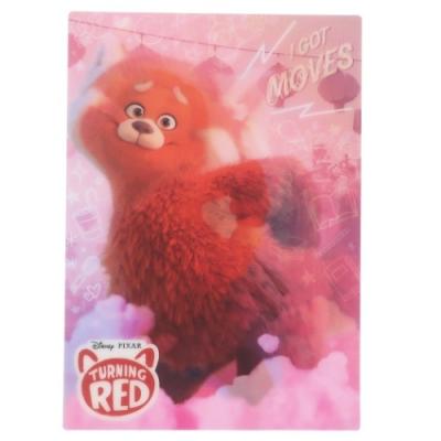 私ときどきレッサーパンダ チェンジング 下じき ディズニー 下敷き キャラクター Ir Ig 37 シネマコレクション ヤフー店 通販 Yahoo ショッピング