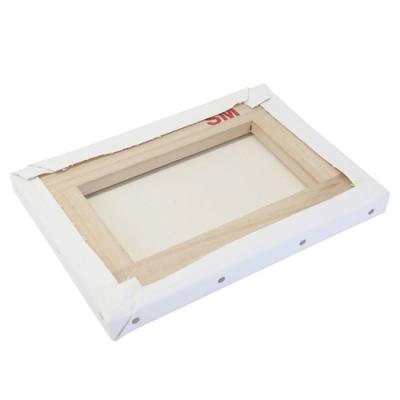 可愛い嘘のカワウソ アートパネル ウォールキャンバス M 星空 LINEクリエイターズ マリモクラフト