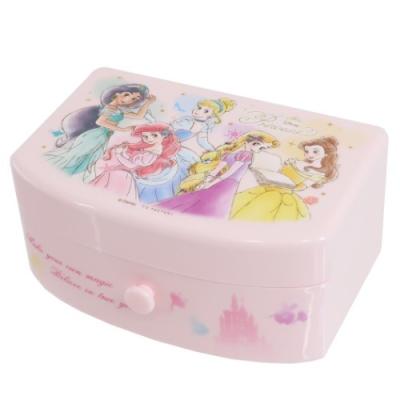 ディズニープリンセス ディズニー キャラクター アクセサリーケース