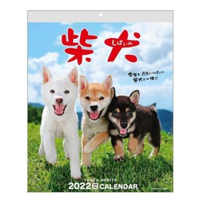 カレンダー 22年 森田米雄 まるごと 柴犬 壁掛け 動物写真 スケジュール アクティブコーポレーション 書き込み いぬ 期間限定