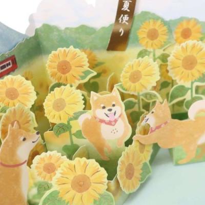 グリーティングカード 夏柄 ポップアップカード ひまわり APJ