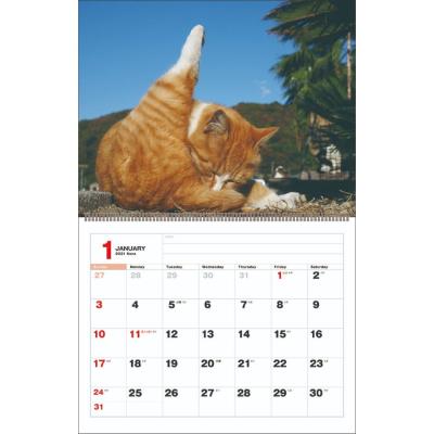 カレンダー 21年 壁掛け のら 岩合光昭 スケジュール ねこ Apj 動物写真 書き込み 辰巳出版 Apj 21 Cl 056 雑貨 アートの通販店 ベルコモン 通販 Yahoo ショッピング
