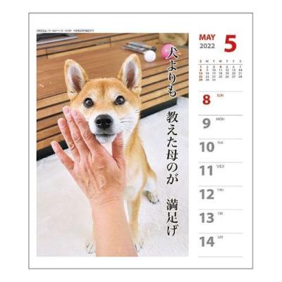 カレンダー 2022年 犬川柳 週めくり 壁掛け 卓上 柴犬 スケジュール かわいい 動物 写真
