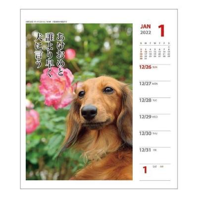 ダックス 犬川柳 週めくり いぬ ドッグ 書き込み 壁掛け Apj 22年 カレンダー 卓上 スケジュール 日本全国 送料無料