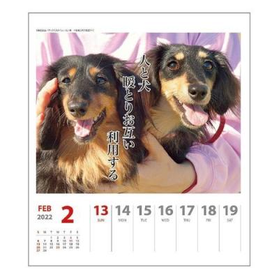 ダックス 犬川柳 週めくり いぬ ドッグ 書き込み 壁掛け Apj 22年 カレンダー 卓上 スケジュール 日本全国 送料無料