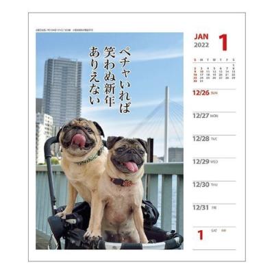 壁掛け 卓上 ペチャ 犬川柳 週めくり カレンダー 2022年 いぬ ドッグ スケジュール