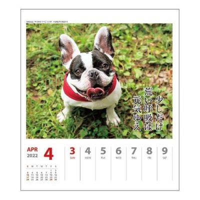 壁掛け 卓上 ペチャ 犬川柳 週めくり カレンダー 2022年 いぬ ドッグ スケジュール