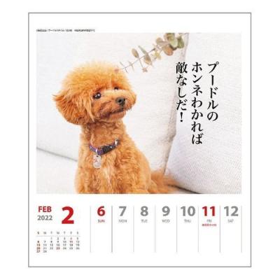 プードル 犬川柳 週めくり 書き込み カレンダー 22 壁掛け 暦 ドッグ 送料込 令和4年 スケジュール いぬ 卓上