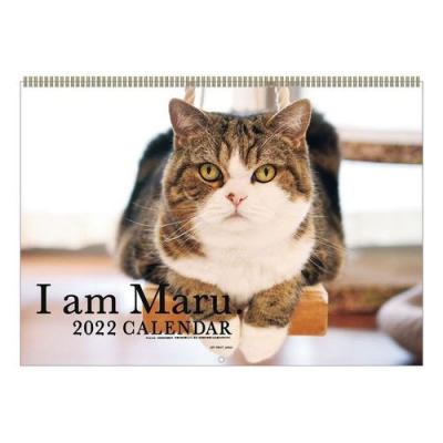 猫 まるちゃん 令和4年 暦 カレンダー 2022年 書き込み 壁掛け スケジュール ねこ キャット