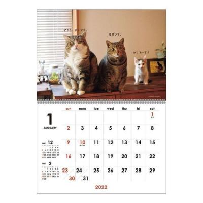 猫 まるちゃん 令和4年 暦 カレンダー 2022年 書き込み 壁掛け スケジュール ねこ キャット