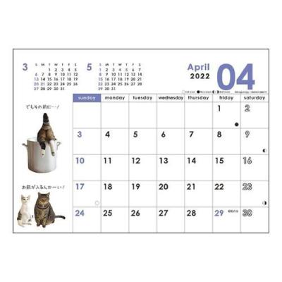 卓上 猫 まるちゃん 2022年 カレンダー ねこ キャット スケジュール 令和4年 暦