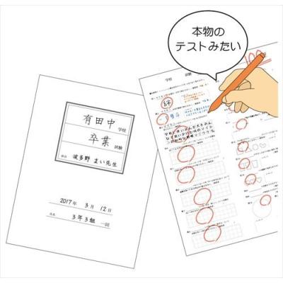色紙 テスト色紙 寄せ書き色紙 アルタ 卒業メモリアル 思い出ギフト雑貨 おもしろ