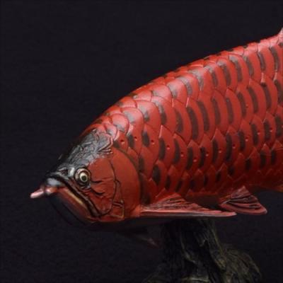 フィギュア ソフトモデルフィギュア アジアアロワナ 紅龍 フェバリット