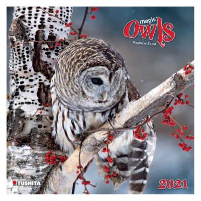 壁掛け カレンダー 21年 海外 輸入版 フクロウ Magic Owls Tushita 写真 梟 キャラクターのシネマコレクション 通販 Paypayモール