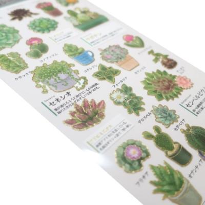 カミオジャパン シールシート 多肉植物 大人の図鑑シール コレクション