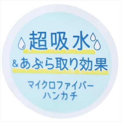 ポケモン プラターヌ博士 マイクロファイバーミニタオル