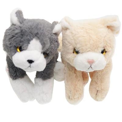 ひざねこ ぬいぐるみ ぬいぐるみS エキゾチック かわいい グッズ