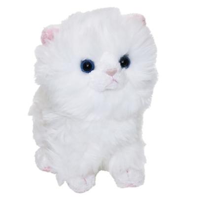 サンレモン キトン kitten 猫 ねこ ラグドール ペルシャ ヒマラヤン