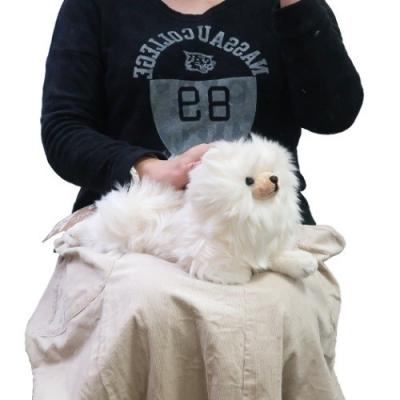 プラッシュドール ひざわんこ ぬいぐるみ いぬ ポメラニアン CR