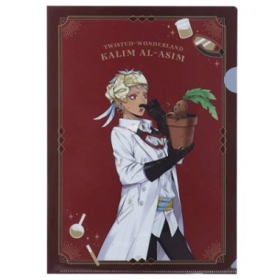 ツイステッドワンダーランド ディズニー キャラクター A4 シングル 