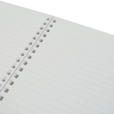 スヌーピー A5 ソフト リングノート リングノート 21ss ピーナッツ キャラクター グッズ キャラクターのシネマコレクション 通販 Paypayモール